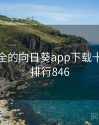 史上最全的向日葵app下载十件事 · 排行846