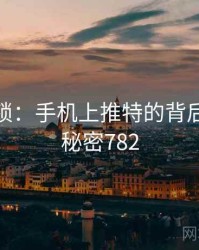 谜题解锁：手机上推特的背后故事 · 秘密782