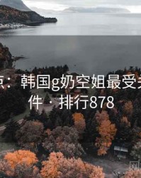 数据盘点：韩国g奶空姐最受关注的事件 · 排行878