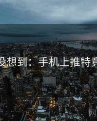 你绝对没想到:手机上推特竟然如此