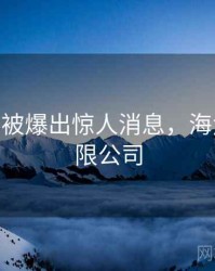 海角app被爆出惊人消息，海角科技有限公司