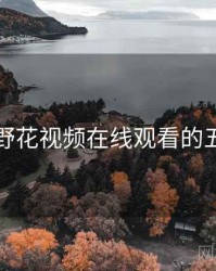 揭秘：野花视频在线观看的五大真相