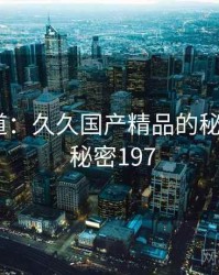 追踪报道：久久国产精品的秘密链条 · 秘密197