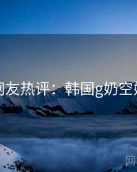 十大网友热评：韩国g奶空姐相关