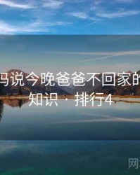 关于妈妈说今晚爸爸不回家的五个冷知识 · 排行4