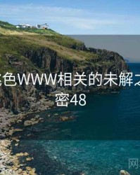 YSL蜜桃色WWW相关的未解之谜 · 秘密48