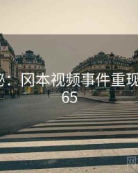 档案揭秘：冈本视频事件重现 · 秘密265