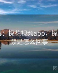爆笑合集：探花视频app，探花app视频是怎么回事