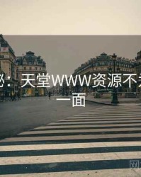 独家揭秘:天堂WWW资源不为人知的一面