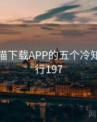 关于快喵下载APP的五个冷知识 · 排行197