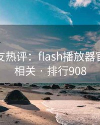 十大网友热评：flash播放器官方下载相关 · 排行908