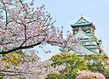 没想到探花视频app这么搞笑，没想到探花视频app这么搞笑吗