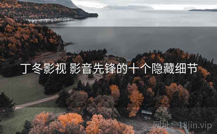 丁冬影视 影音先锋的十个隐藏细节 丁冬影视 影音先锋的十个隐藏细节